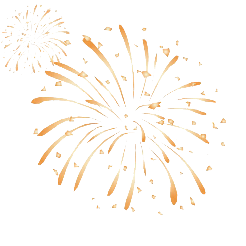 Gayathri Fancy Crackers  